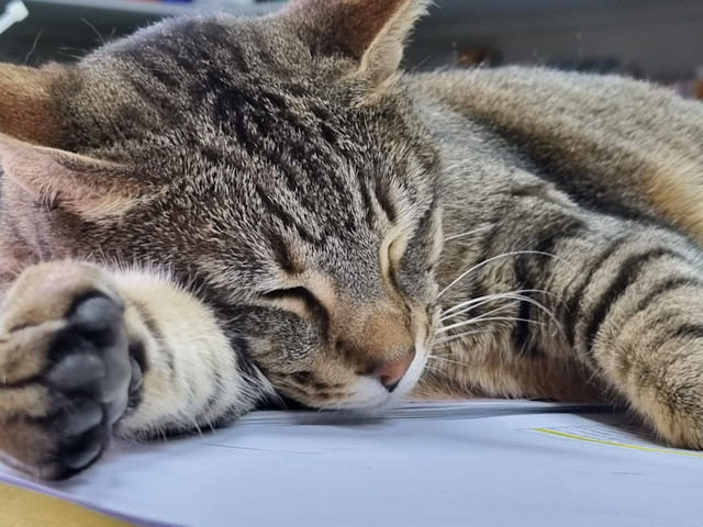 Lara, after a hard day's work! Lara, after a hard day's work!