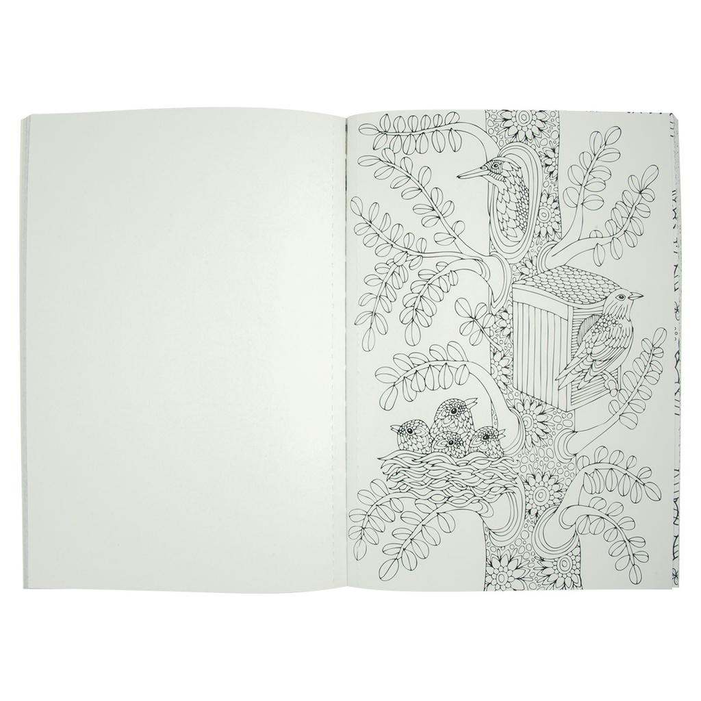 Life is Better in Color Adult Colouring Book (XCLR100)