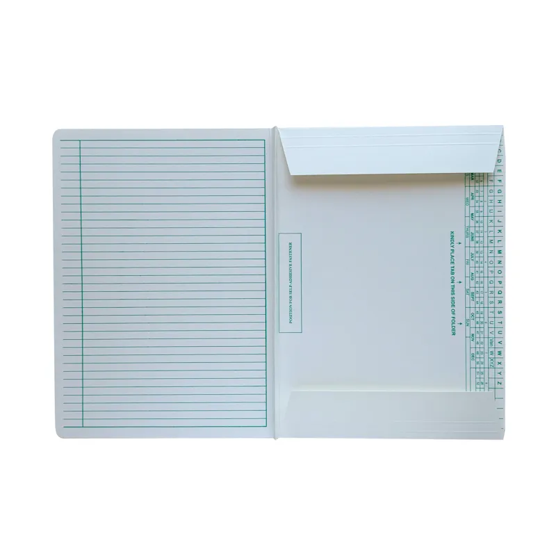 Tidy Files Medium Weight with Flaps (T44250) (1).webp