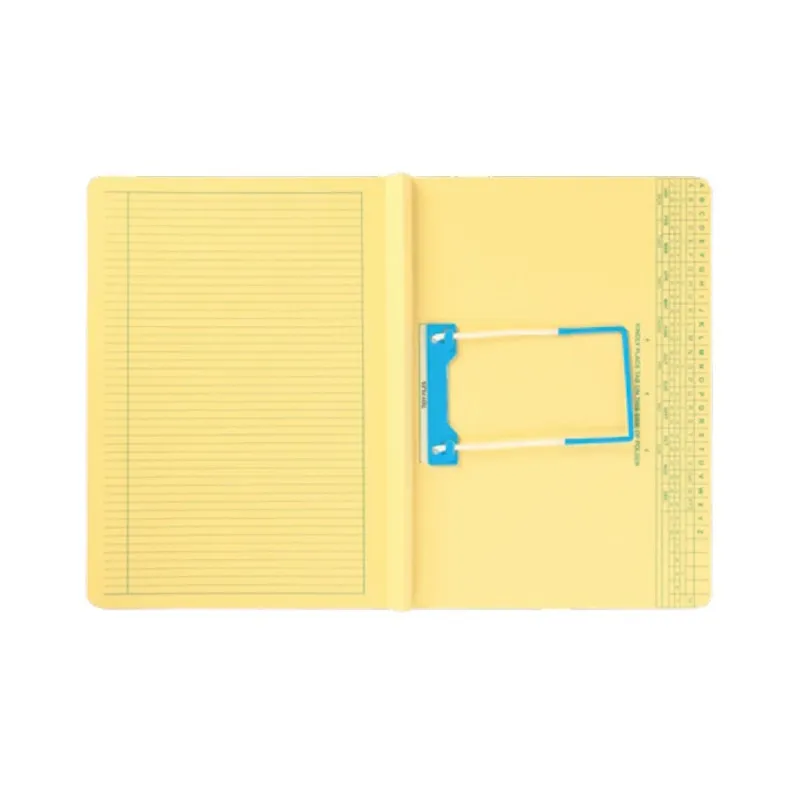 Tidy Files Economy Expanda File with Flaps and Dispo Clip (T44500)