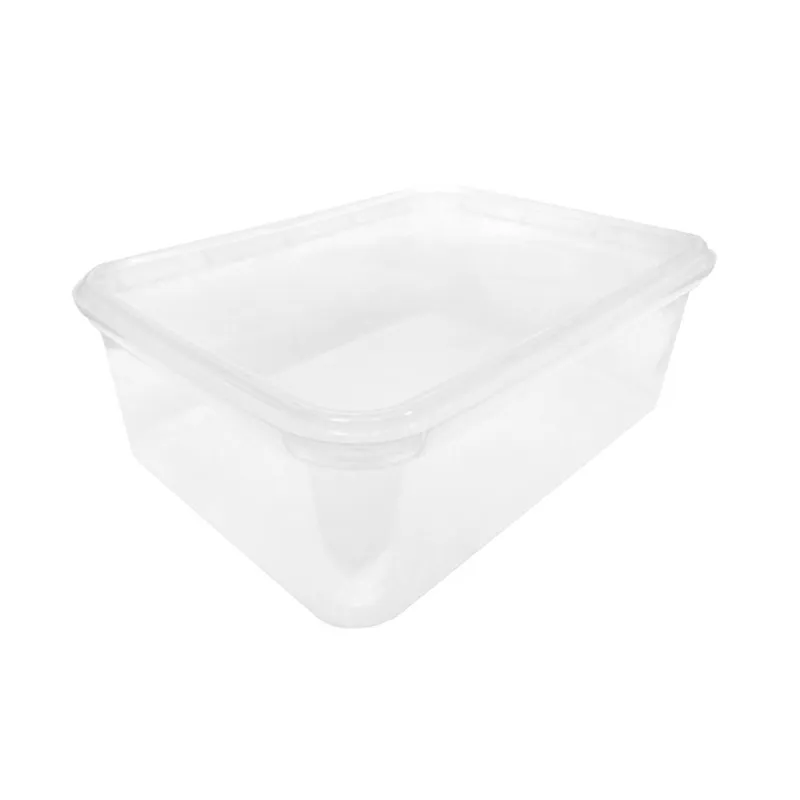 Ice Cream Tub 2lt (clear)