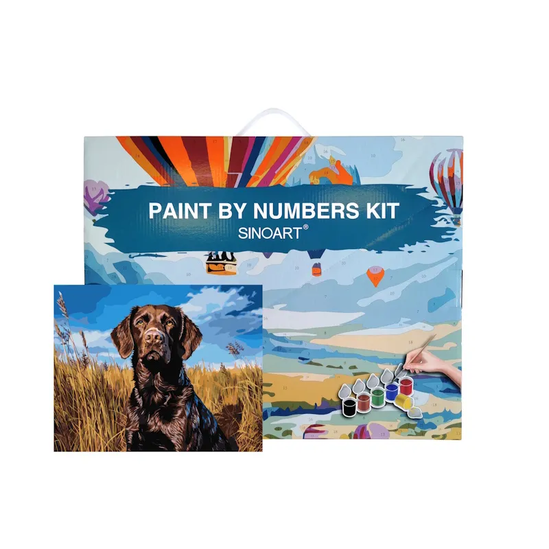 Sinoart Paint by Numbers Kit Dog 40cm x 50cm