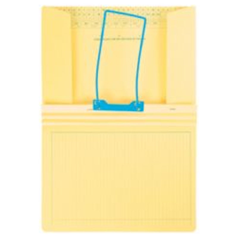 Tidy Files Extra Heavy Duty with Tri-Clip No Flaps (T44450)