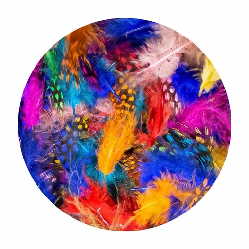 Dala Coloured Guinea Fowl Feathers (30g)