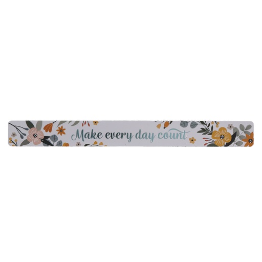Make Every Day Count Magnetic Strip (MS173)
