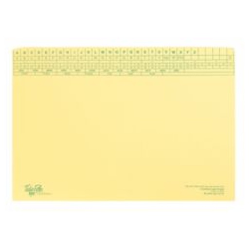 Tidy Files Light Weight with Flaps (T44150)