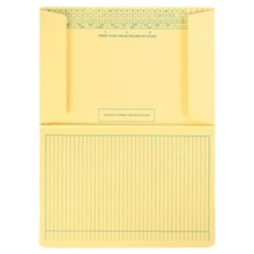 Tidy Files Medium Weight with Flaps (T44250)