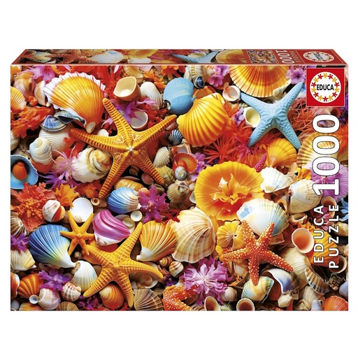 Shell Collage Cardboard Puzzle (1000 pieces)