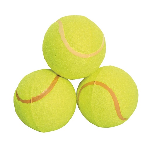Educational Tennis Ball (3)